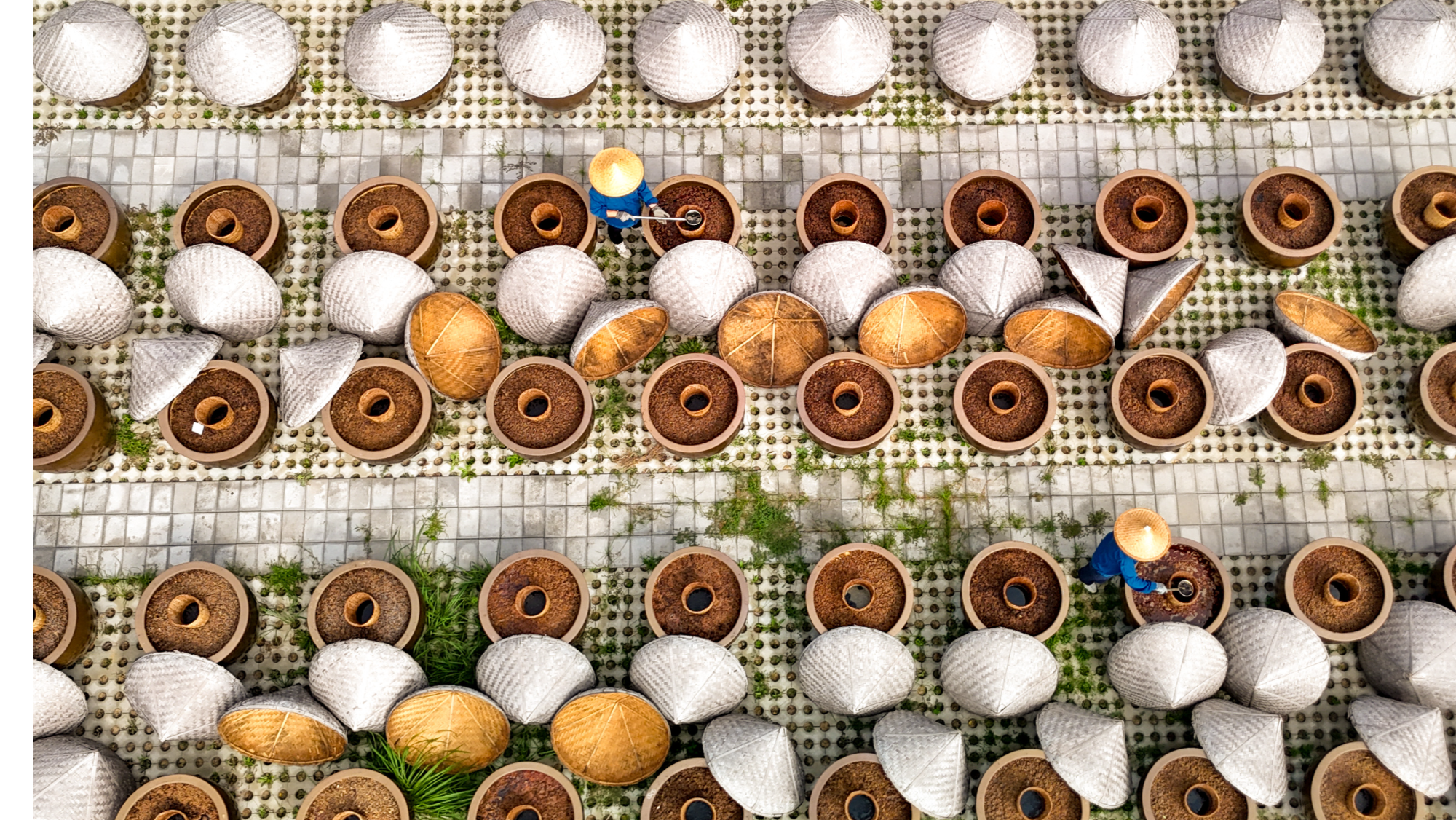 In pics: Workers dry soy sauce in Tengzhou, Shandong